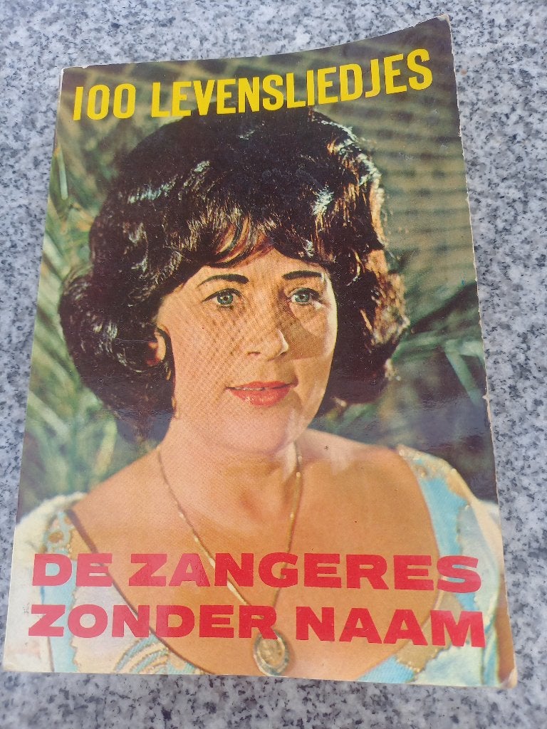 Boek: zangeres zonder naam 100 levensliedjes, Boeken, Mary servaes, Artiest, Ophalen of Verzenden, Zo goed als nieuw