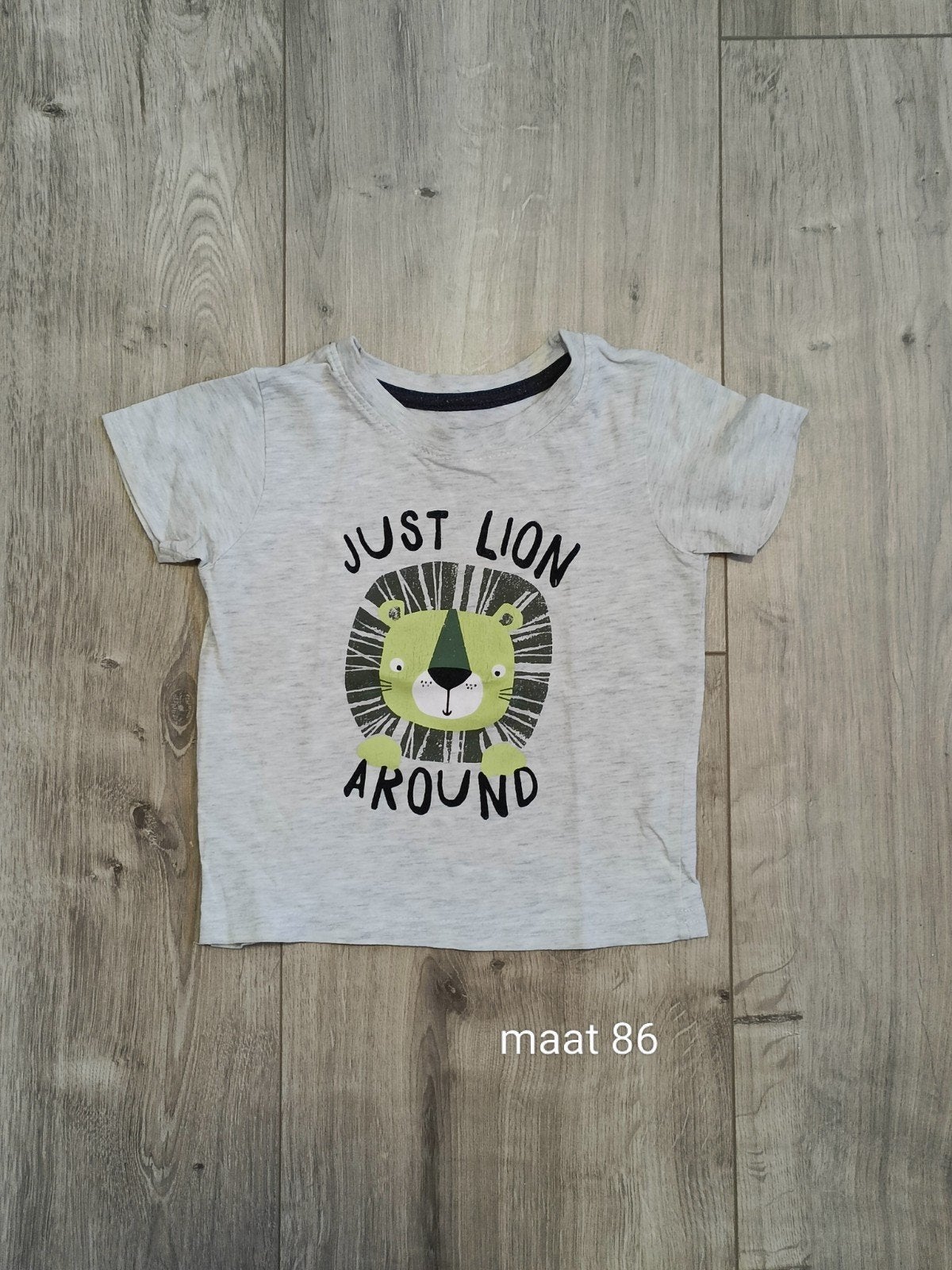 Grijs shirt met leeuw, Kinderen en Baby's, Babykleding | Maat 86, Ophalen of Verzenden, Zo goed als nieuw, Jongetje of Meisje
