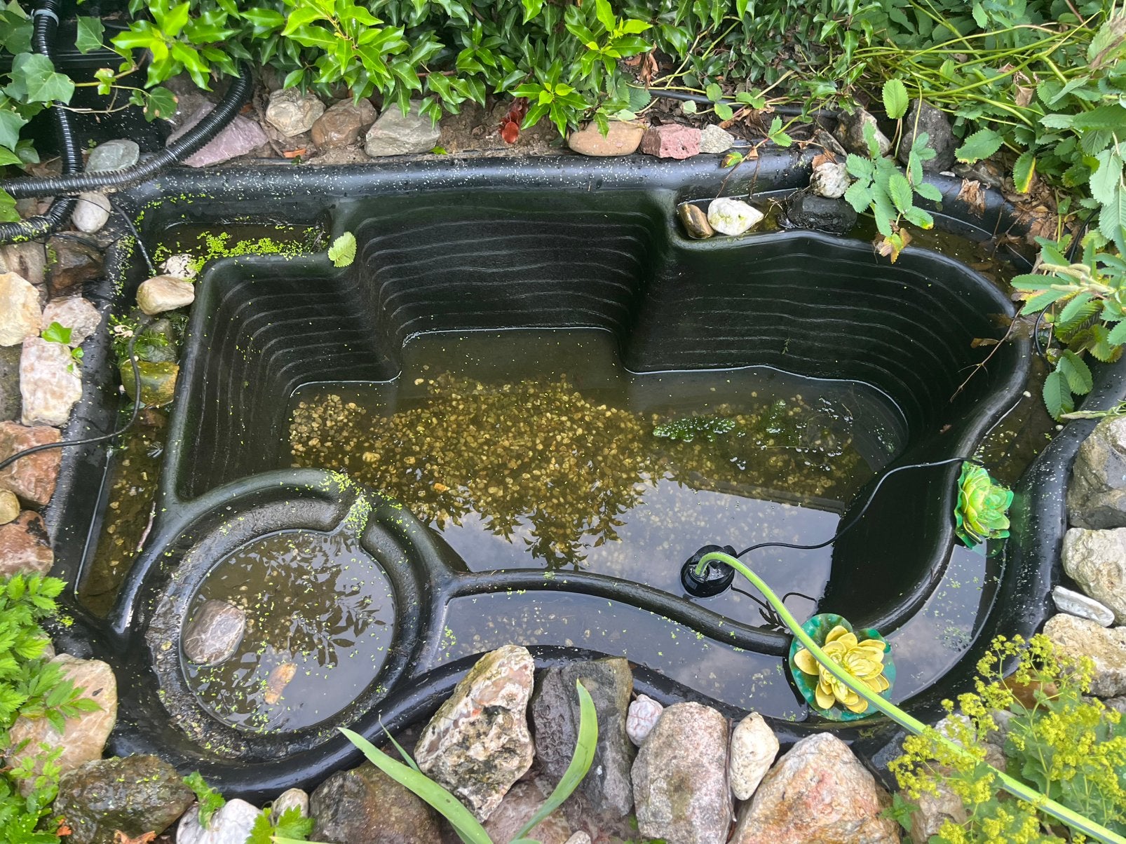 2 meter vijver met pomp stenen en planten!, Tuin en Terras, Vijvers, Ophalen, Zo goed als nieuw