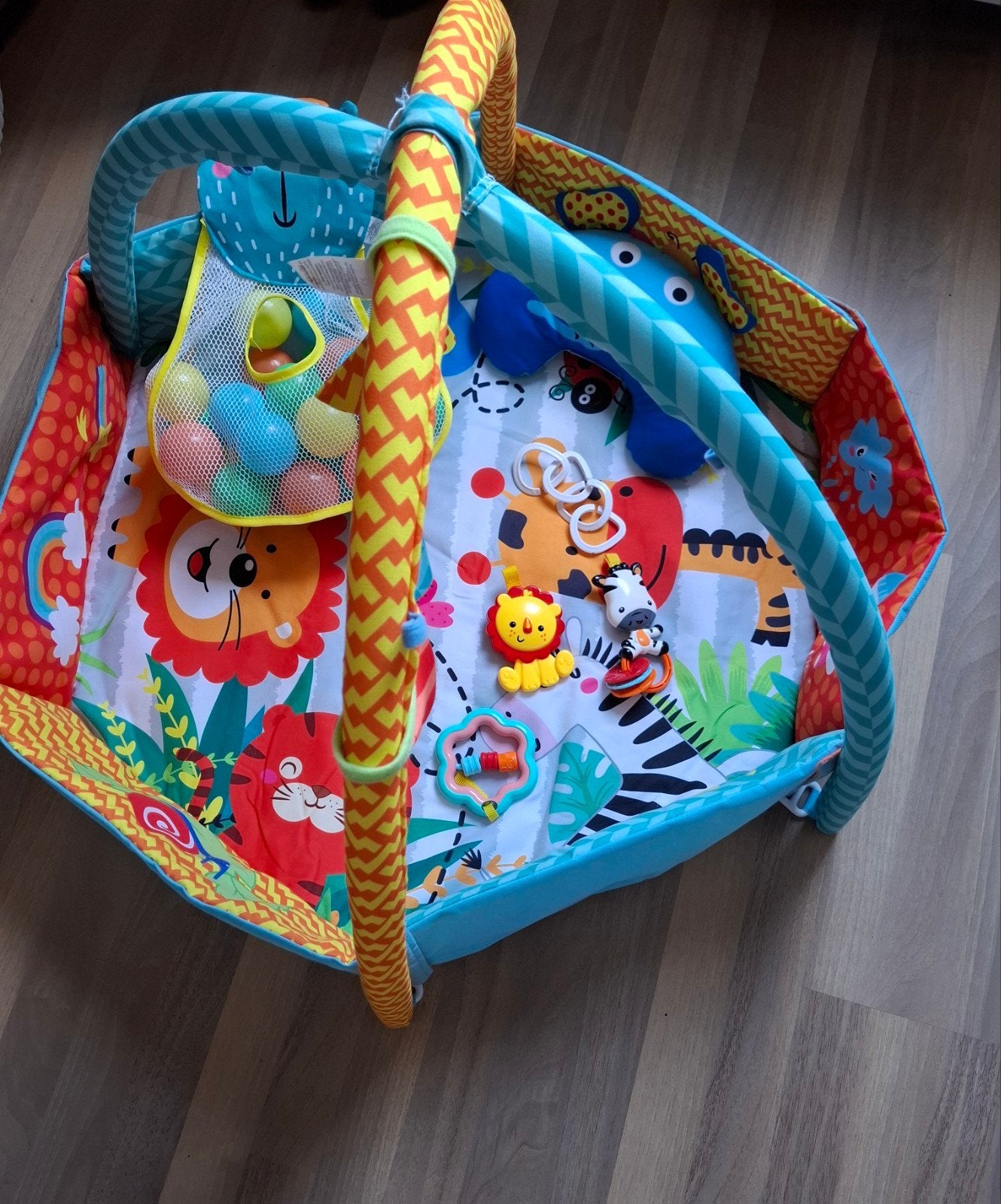 Bo Jungle Carnaval Babygym met Ballen en Speelkleed, Ophalen, Babygym
