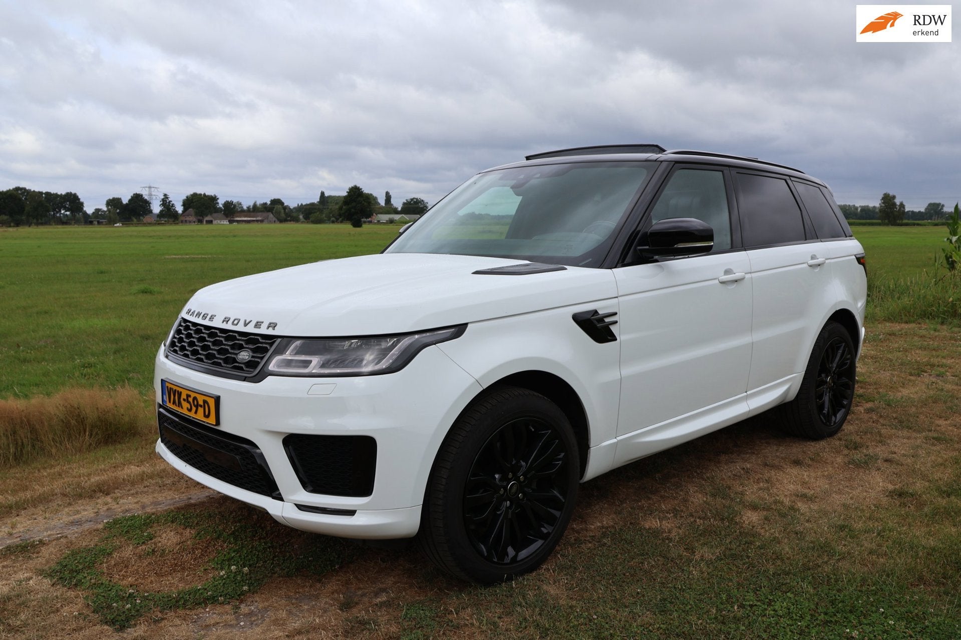 Land Rover Range Rover Sport 3.0 HSE|GRIJS Kenteken|PANO|Luc, Auto's, Dealer onderhouden, 249 pk, 2993 cc, Wit
