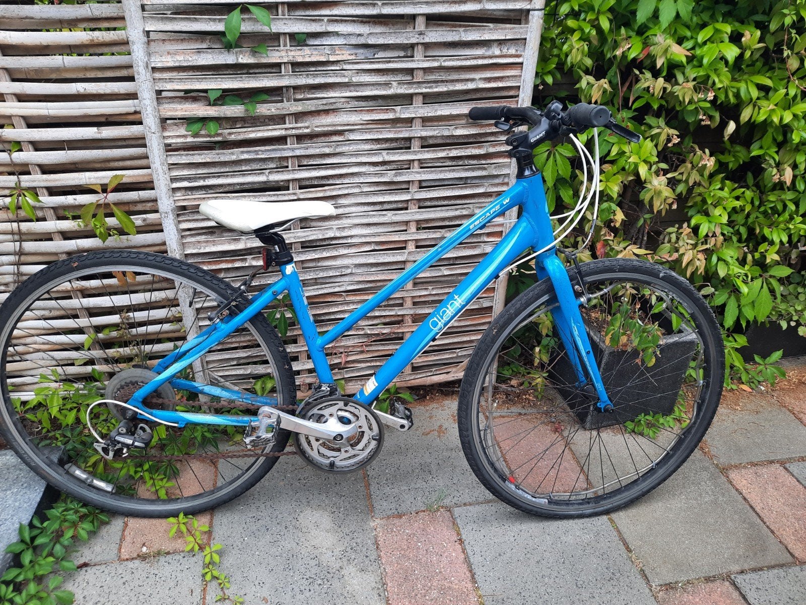 Giant Hybride Fiets, Ophalen, Gebruikt, Meer dan 20 versnellingen, 56 cm of meer