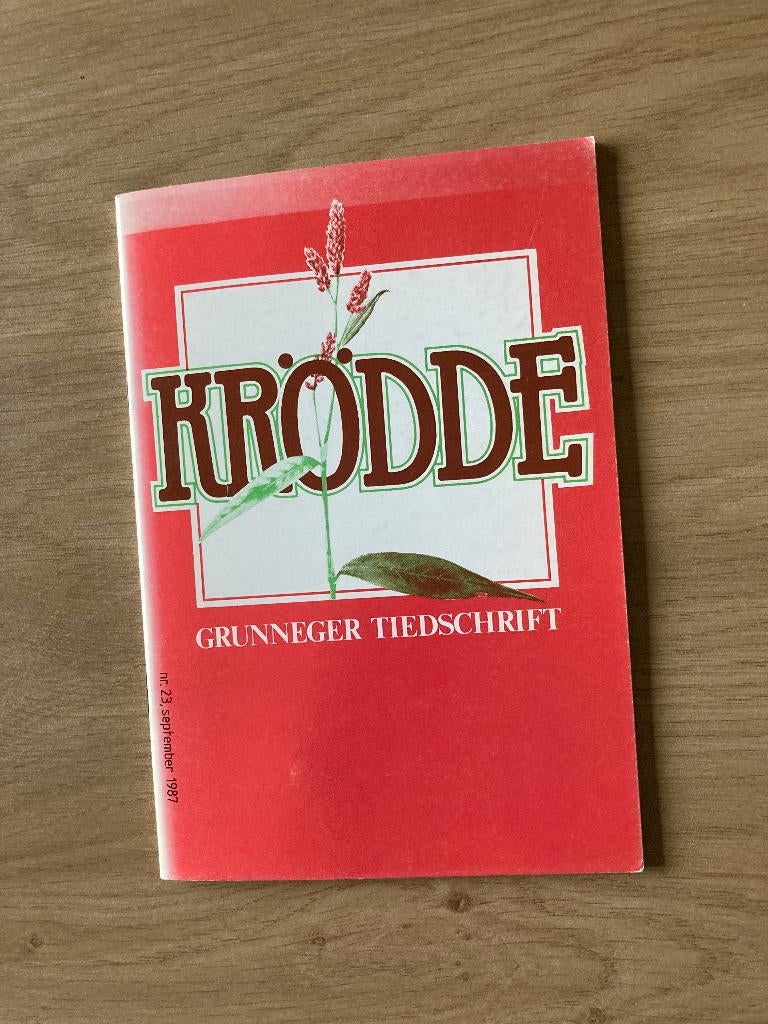 Boekje Grunneger Tiedschrift, Boeken, Ophalen of Verzenden, Gelezen
