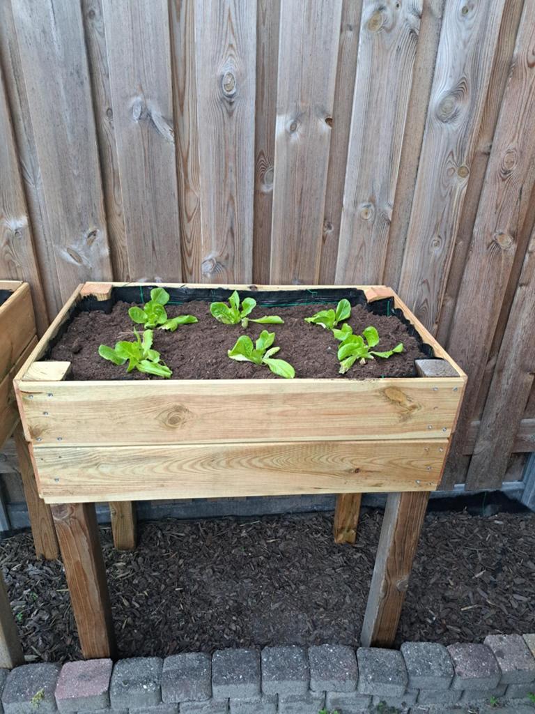 Kweekbak / bloembak / plantenbak op poten, Ophalen, Nieuw, Rechthoekig, Hout