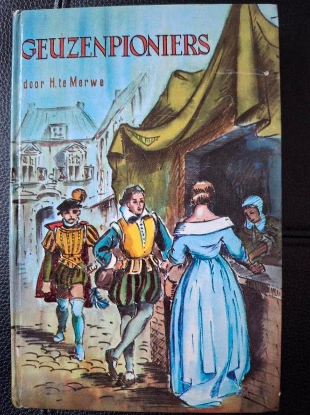 Geuzenpioniers - H. te Merwe, Gelezen, H. te Merwe, Ophalen of Verzenden, 17e en 18e eeuw