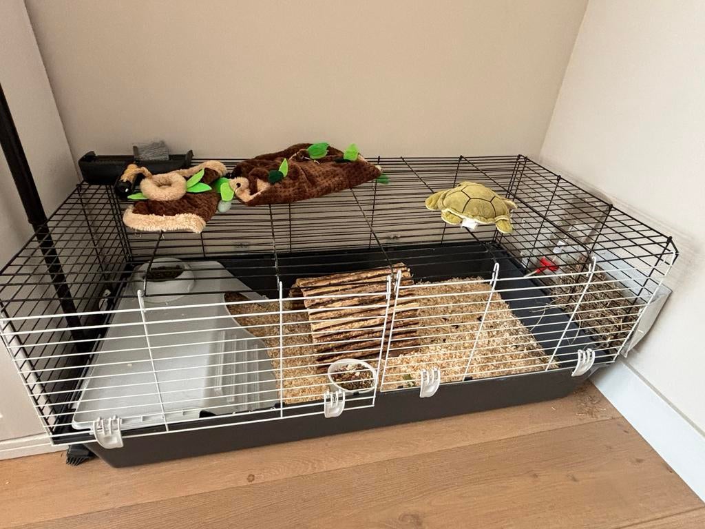 Cavia- / konijnenhok. 120x56x50 cm, Dieren en Toebehoren, Knaagdieren en Konijnen | Hokken en Kooien, 110 cm of meer, Zo goed als nieuw