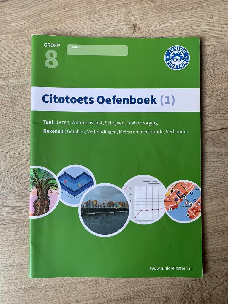 Citotoets groep 8 oefenboek junior einstein DIGITAAL, Boeken, Studieboeken en Cursussen, Nieuw, HBO, Alpha, Ophalen