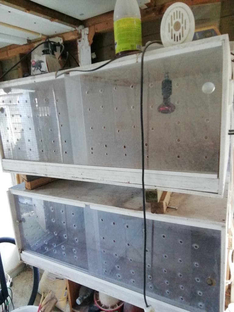 Dieren en toe behoren, Ophalen of Verzenden
