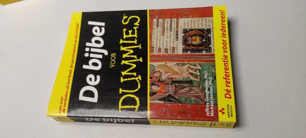 De Bijbel voor Dummies - Leer de Bijbel begrijpen, Ophalen of Verzenden, Gelezen, Jeffrey Geoghegan, Michael Homan, Christendom | Katholiek