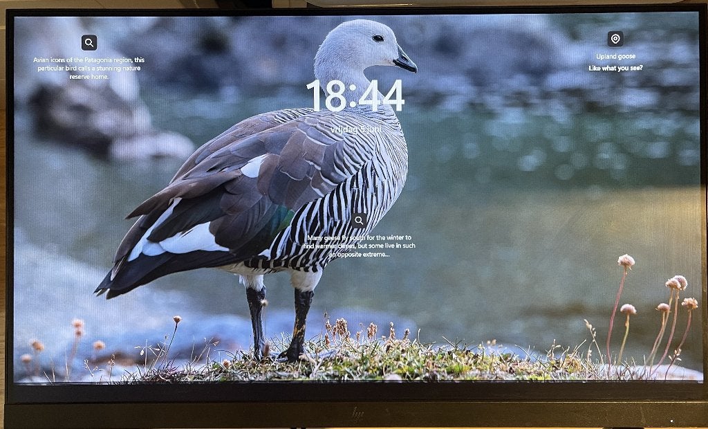 HP E24 G4 Full HD Monitor 24"_ HDMI / DP / VGA (zonder voet), Computers en Software, Monitoren, Ophalen, Hp, Gebruikt, IPS
