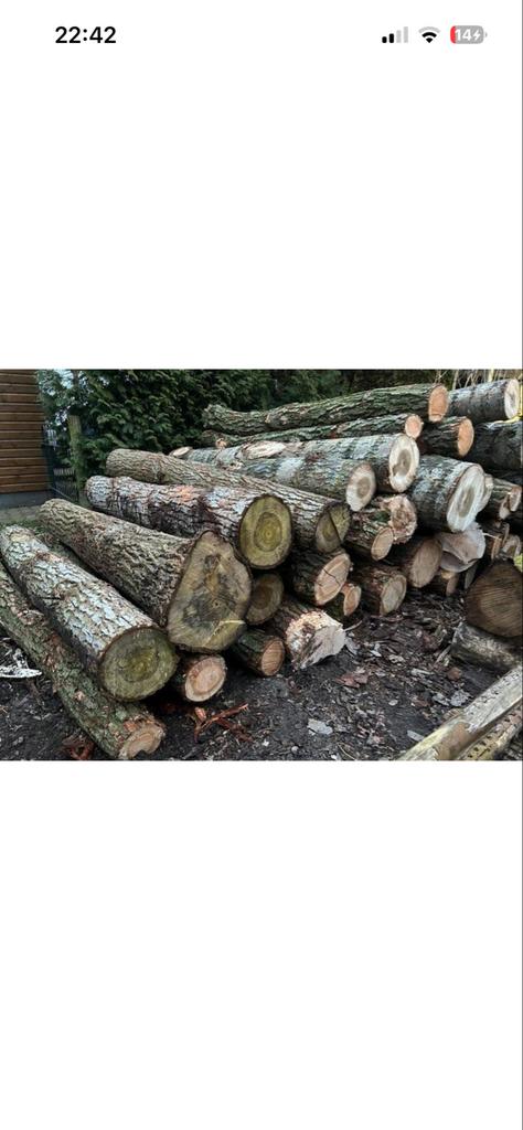 Gezocht: Stamhout - Boomstammen- haardhout stammen, Tuin en Terras, Haardhout, 6 m³ of meer, Ophalen of Verzenden, Overige houtsoorten