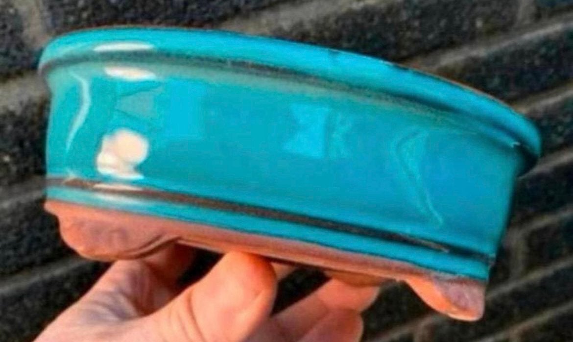 Bonsai schaal Turquoise geglazuurd Koreaans 17,1x14x5,7, Ophalen of Verzenden, Zo goed als nieuw, Overige vormen, Aardewerk