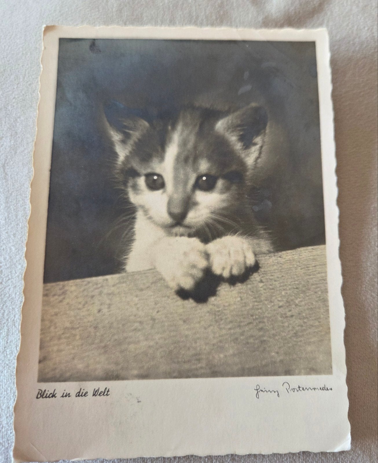 Oude ansichtkaart: 'Blick in die Welt' met katje, Verzamelen, Verzenden, Voor 1920, Gelopen, Hond of Kat
