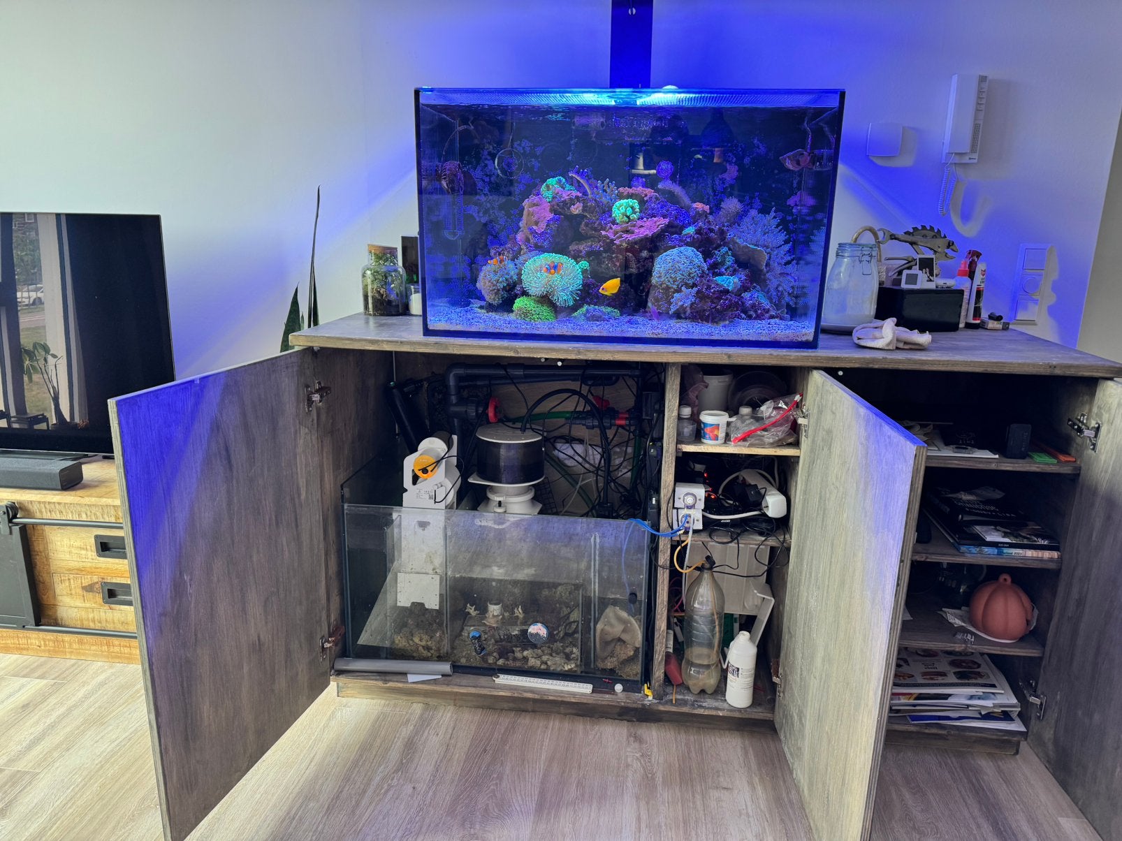 Redsea reefer 250, Ophalen of Verzenden, Zo goed als nieuw