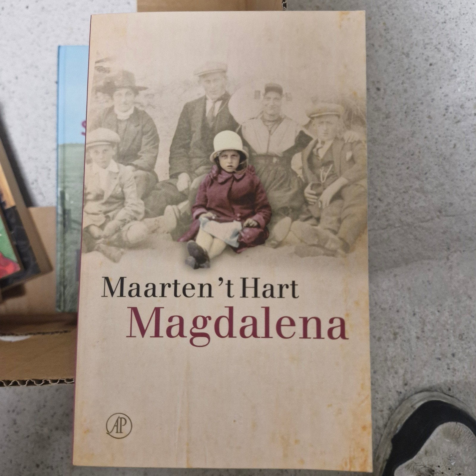 Maarten 't Hart - Magdalena