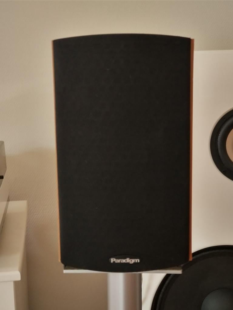 Paradigm Atom Monitor v.5, Ophalen, Minder dan 60 watt, Front, Rear of Stereo speakers, Overige merken