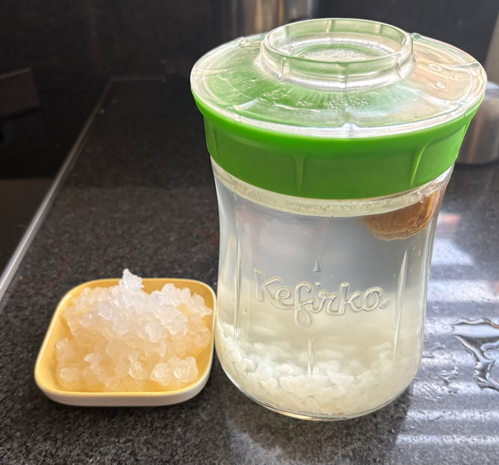 Waterkefir gratis (€5,00 indien verzenden), Ophalen of Verzenden
