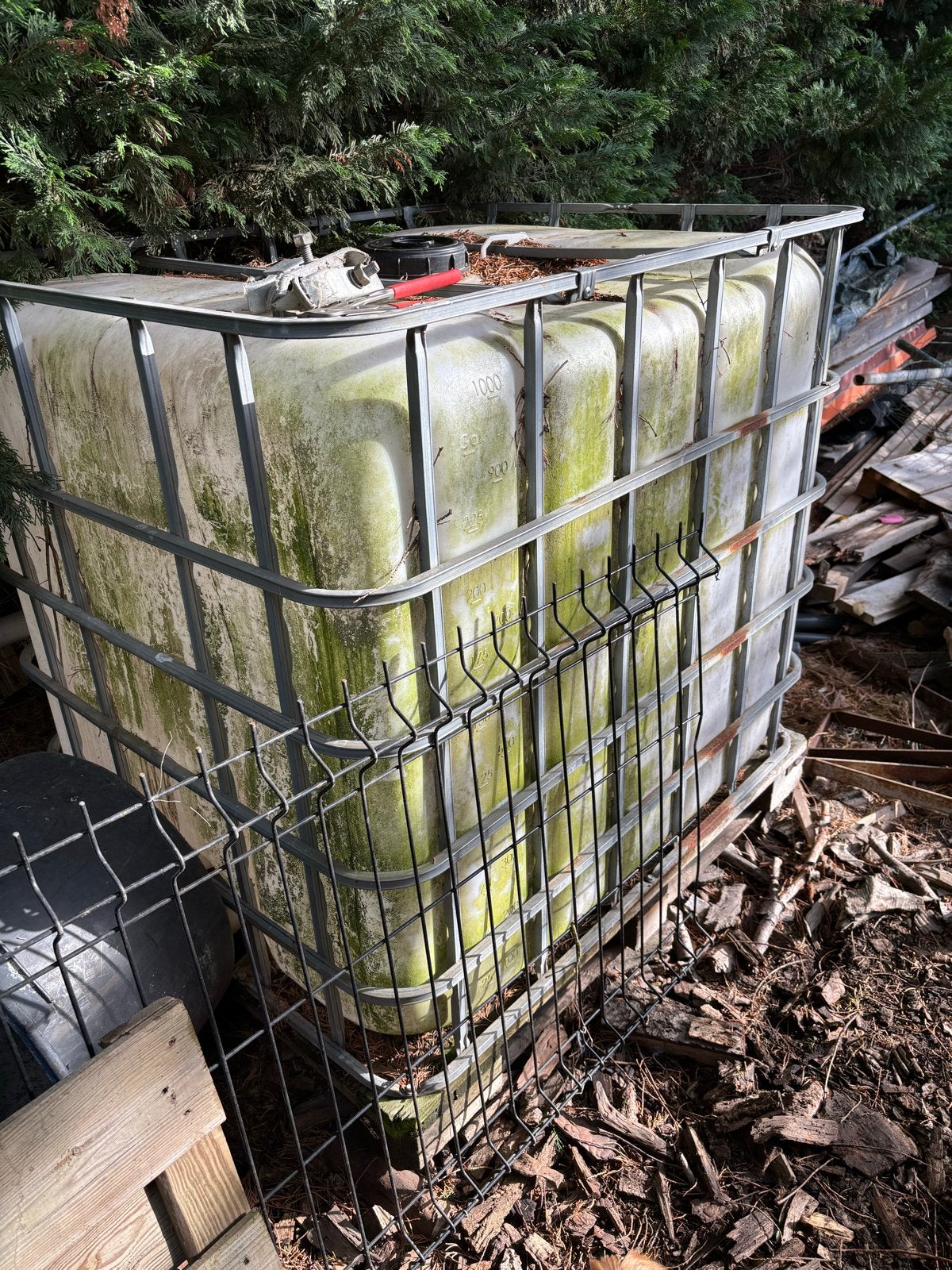 IBC watertank 1000 liter, Doe-het-zelf en Verbouw, Ophalen, Gebruikt, 100 cm of meer, 60 cm of meer