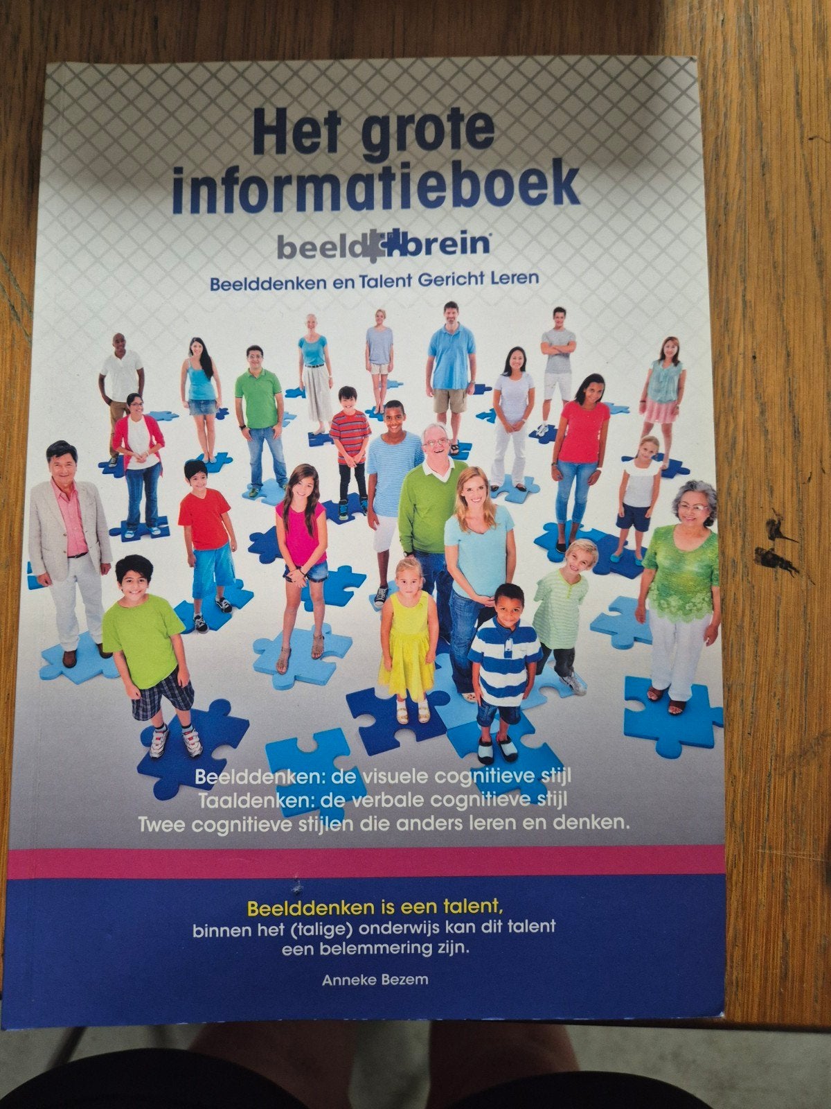 Het grote informatieboek beeld en brein, Boeken, Ophalen of Verzenden, Zo goed als nieuw, Anneke Bezem, Alpha