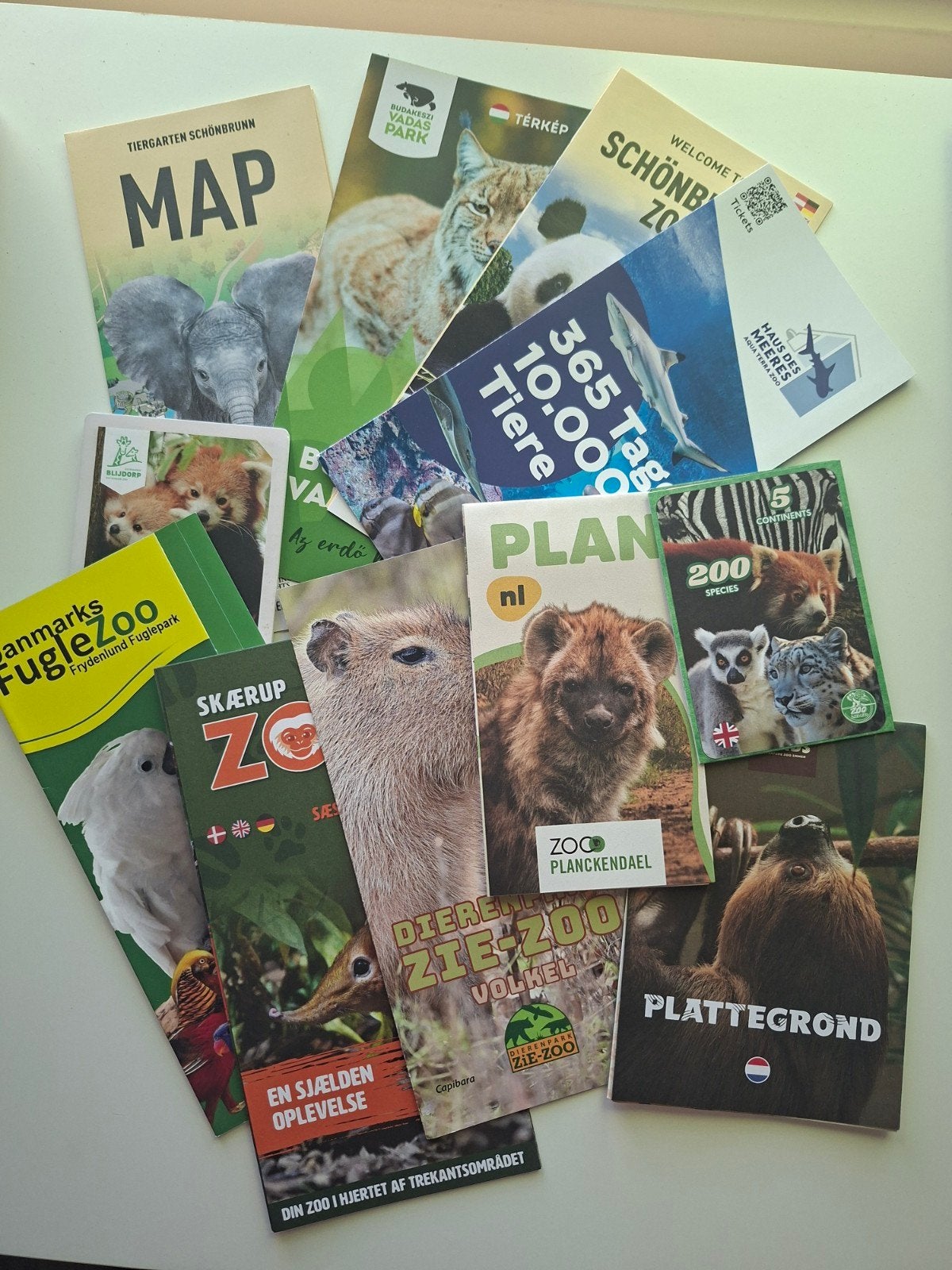 Grote partij Dierentuinfolders/plattegronden, Ophalen of Verzenden, Gelezen, Wetenschap en Natuur