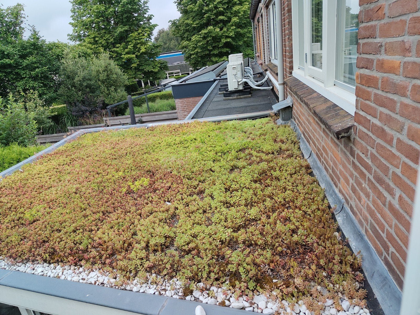 Sedumdak 9 vierkante meter eind augustus ophalen, Ophalen, Gebruikt, Minder dan 10 m²