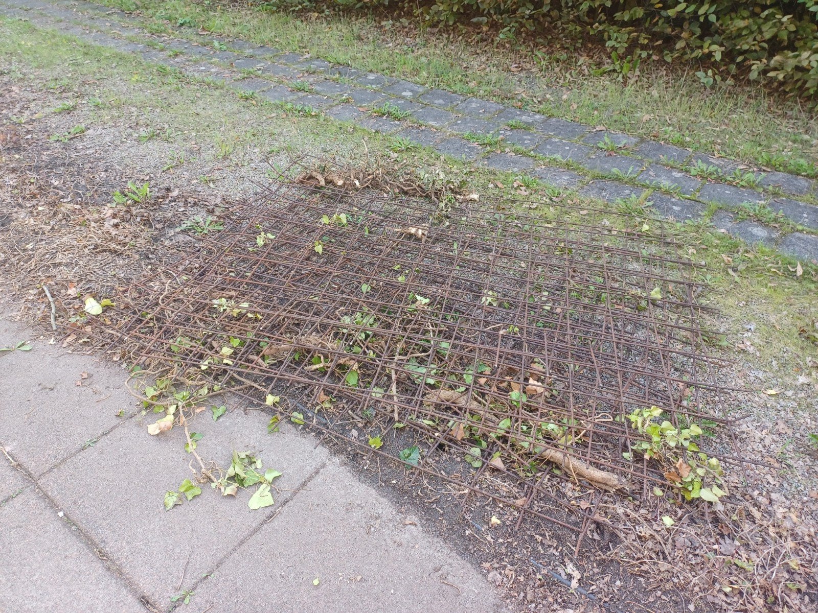 Gratis af te halen: Oud ijzer / betonijzer, Ophalen, Gebruikt, IJzer