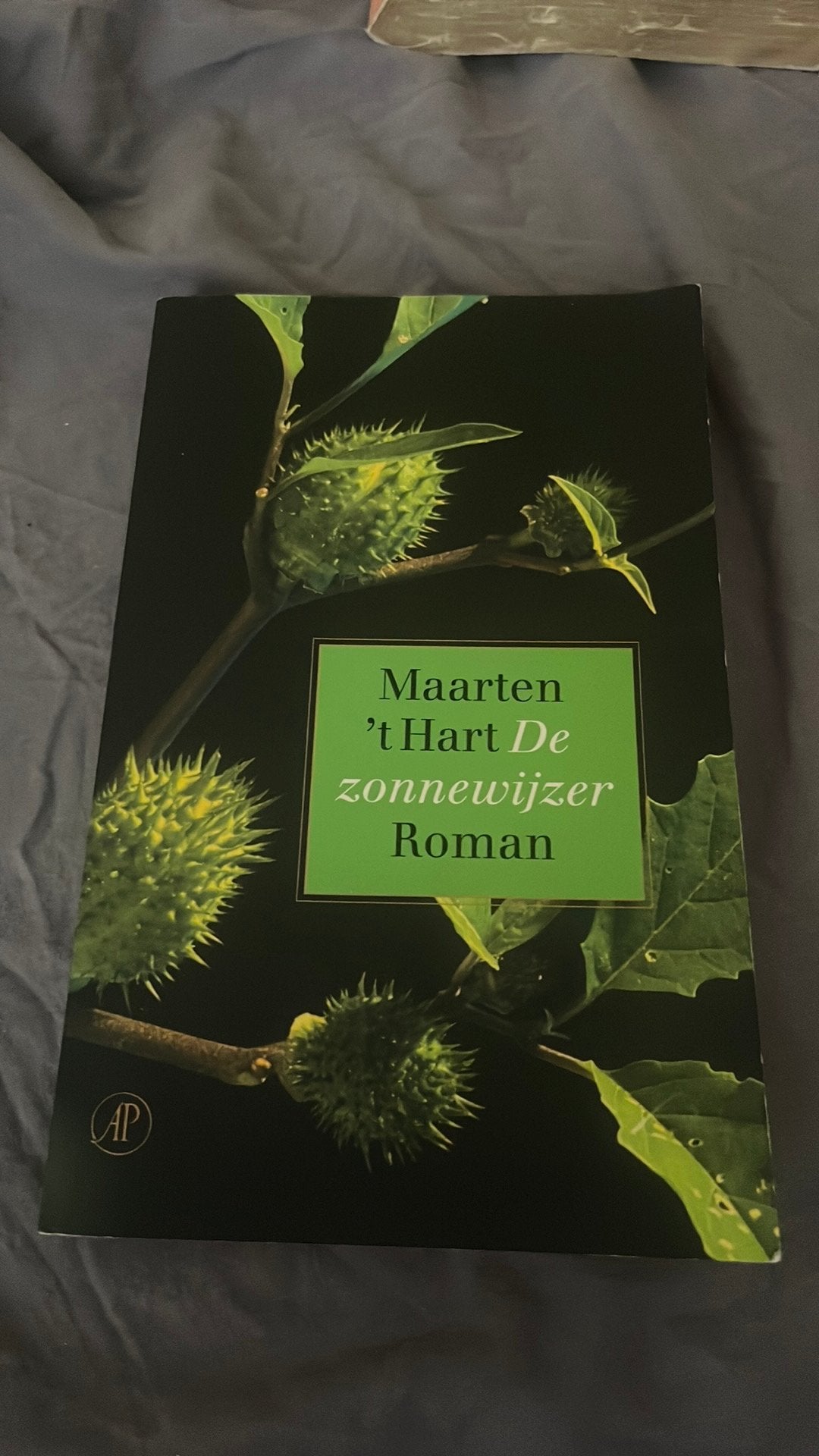 Maarten 't Hart - De zonnewijzer, Boeken, Ophalen of Verzenden, Zo goed als nieuw, Maarten 't Hart