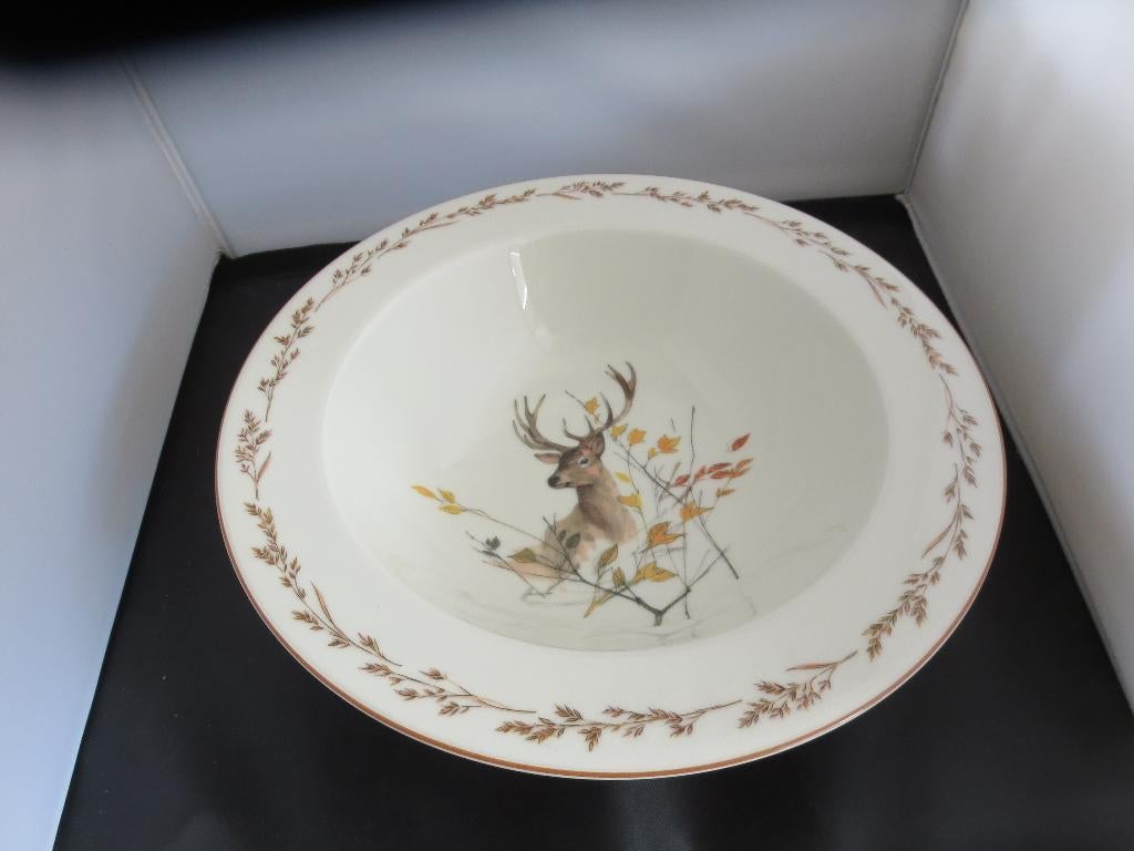 Schalen Natuurservies Tettau, Info@detagrijn.com, Nieuw, Ophalen of Verzenden, Schaal of Schalen