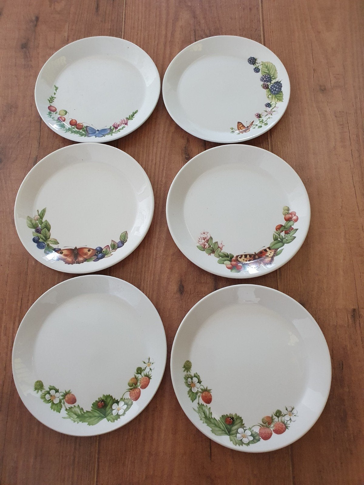 WEDGWOOD, libelle 6 borden ( niet gebruikt) 16 cm, Ophalen of Verzenden