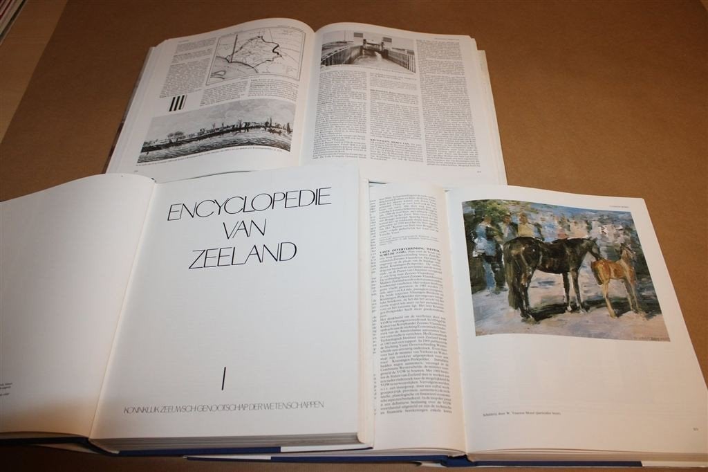 Encyclopedie van Zeeland — Complete Set in 3 Delen, Boeken, Geschiedenis | Stad en Regio, Ophalen of Verzenden, Gelezen