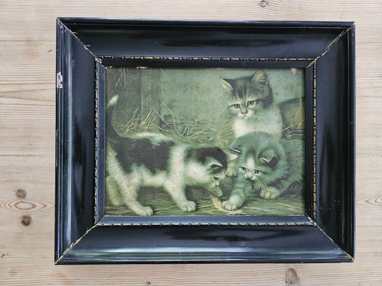 Oude Brocante Prent Kittens in Zwarte Lijst, Ophalen