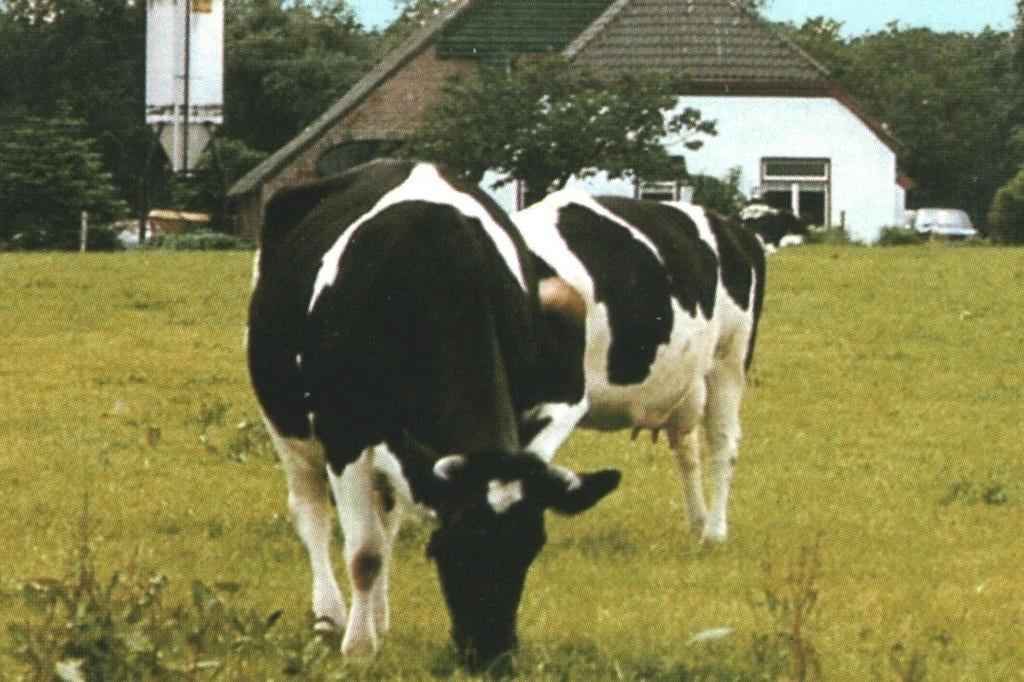 993159 Midlaren 781 Drenthe Boerderij  Gelopen met postzegel, Ophalen of Verzenden, 1980 tot heden, Gelopen, Drenthe
