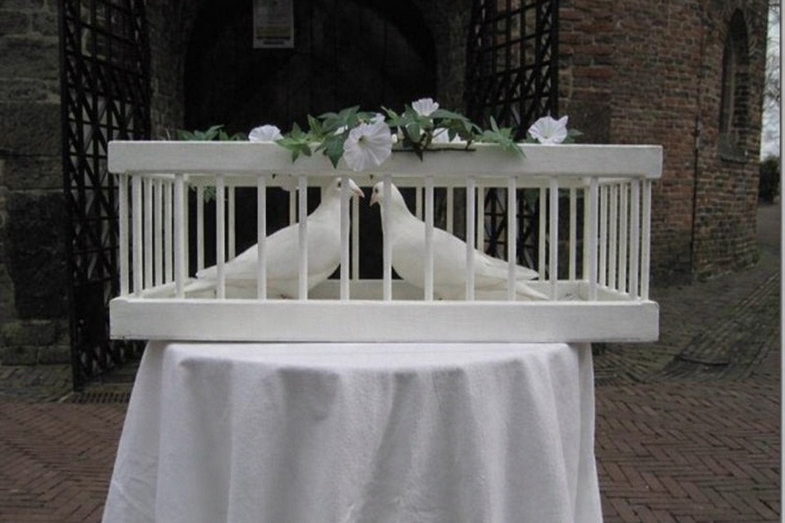 Bruidsduiven manden, Ophalen of Verzenden, Zo goed als nieuw, Accessoires