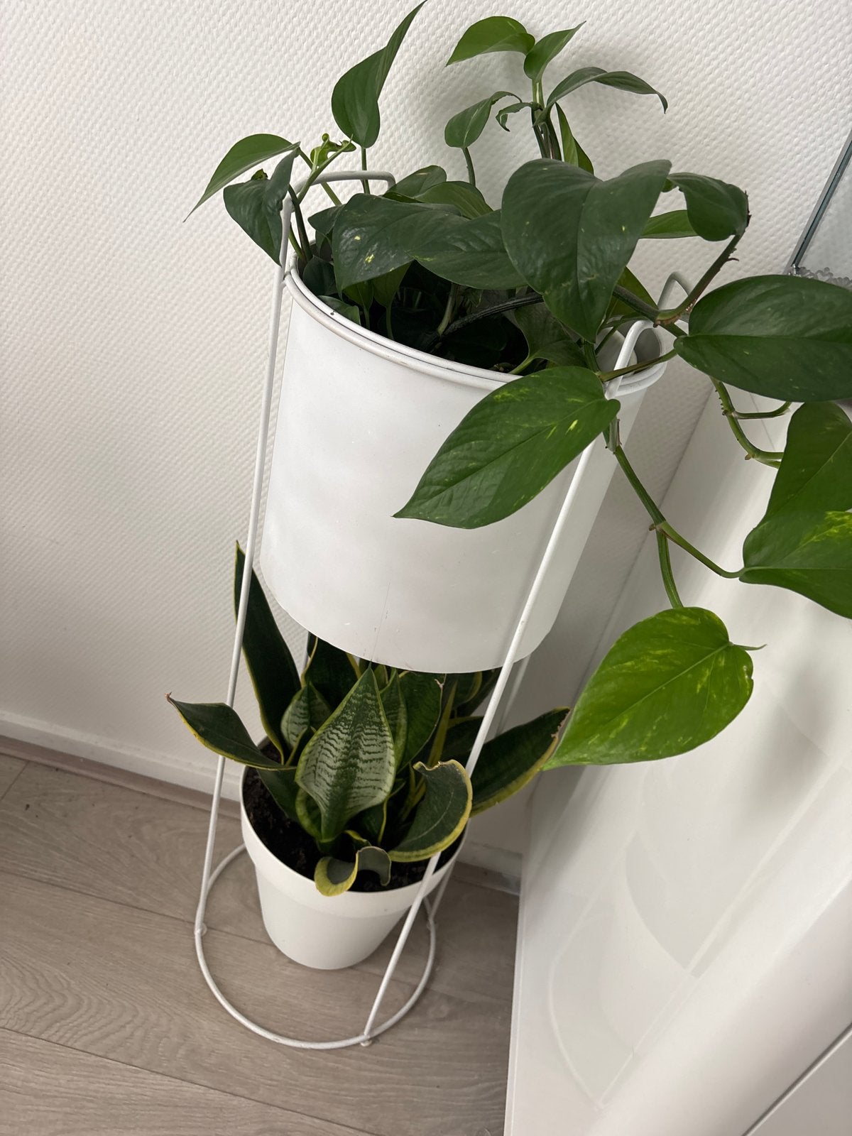 Witte metalen plantenstandaard met twee planten, Gebruikt, Ophalen of Verzenden, Wit, Metaal
