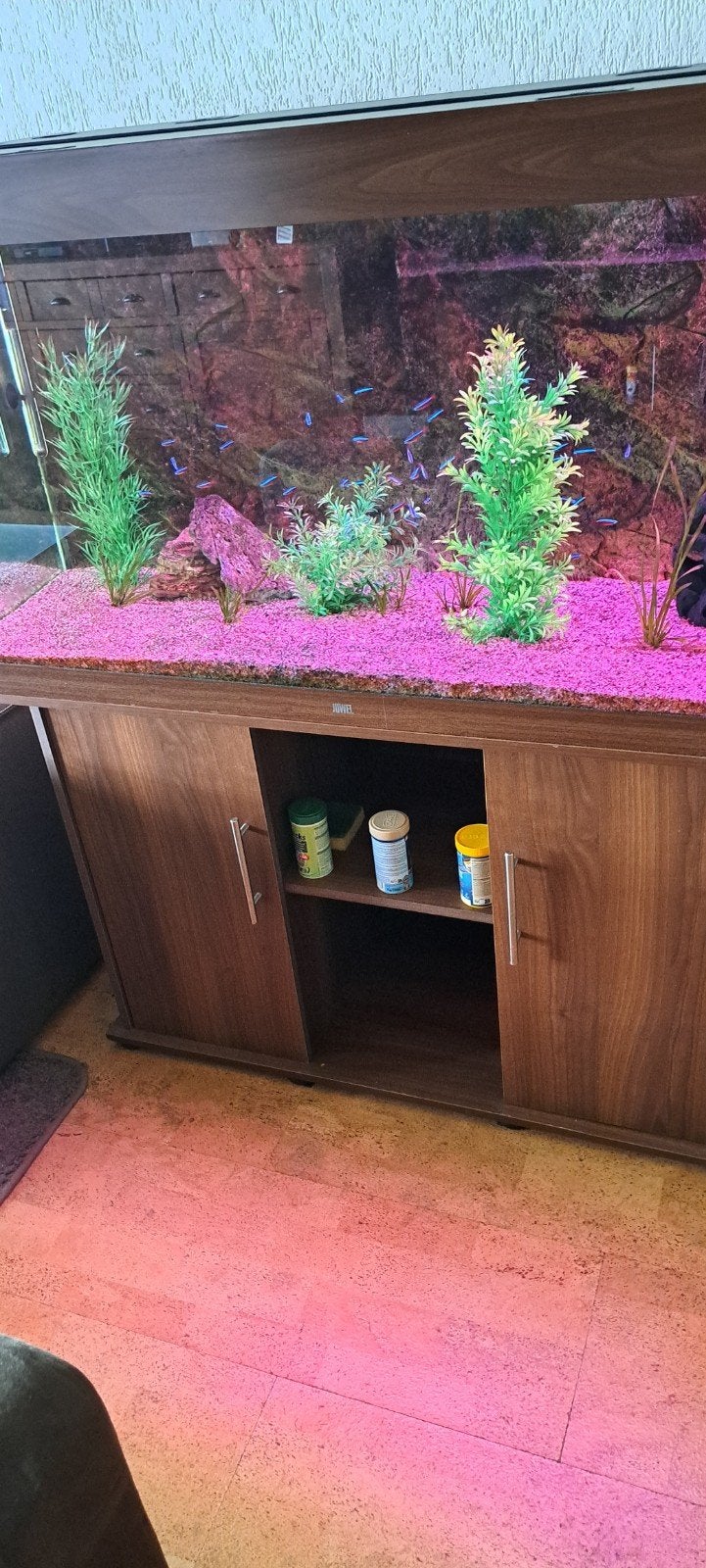 Aquarium juwel rio 300, Ophalen, Gebruikt, Gevuld zoetwateraquarium, Inclusief vissen