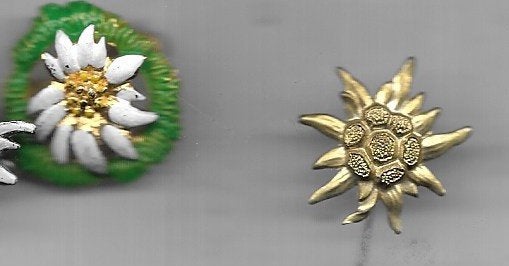 2 X EDELWEISS BLOEMEN SPELD EN BROCHE SPELD, Ophalen of Verzenden, Gebruikt, Dier of Natuur, Speldje of Pin