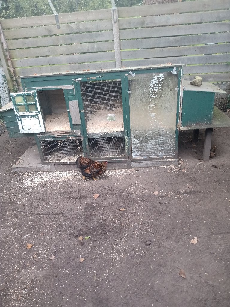 kippehok, Dieren en Toebehoren, Ophalen, Gebruikt, Hout, Overige typen