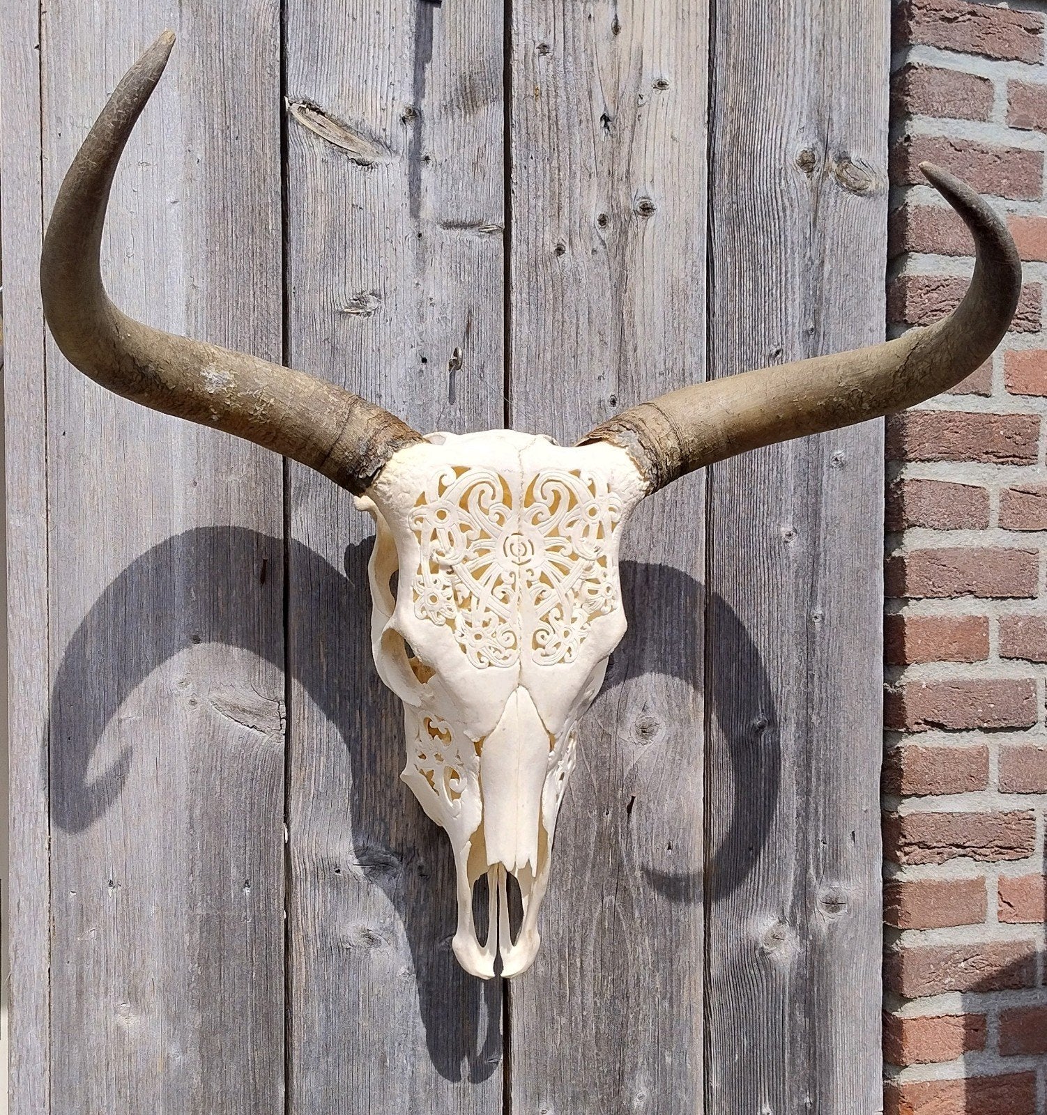Prachtig stoere buffel schedel met snijwerk, Ophalen of Verzenden, Zo goed als nieuw, Wild dier, Schedel