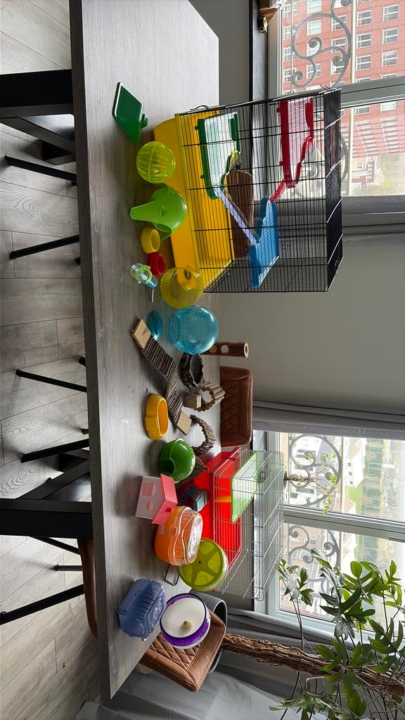 Hamsterkooi en accessoires, Dieren en Toebehoren, Knaagdieren en Konijnen | Hokken en Kooien, Kooi, Minder dan 75 cm, Zo goed als nieuw
