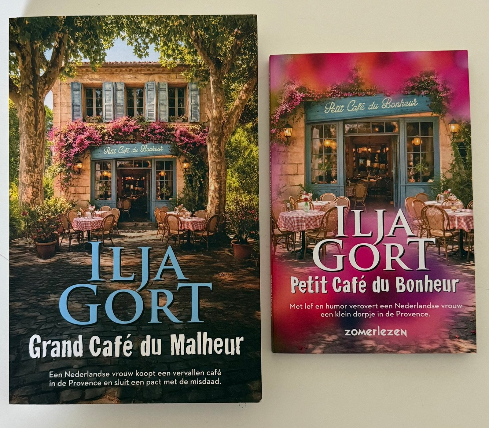 Ilja Gort - Grand café de malheur & Petit café de malheur, Ophalen of Verzenden, Zo goed als nieuw
