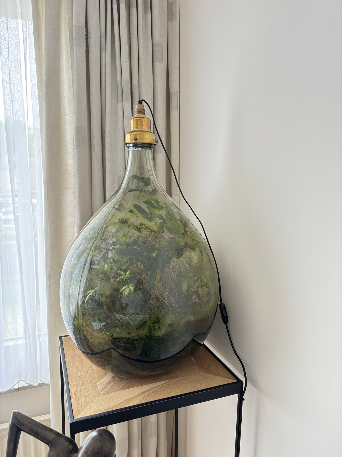 Spruitje lamp (Terrarium) - Ophalen Veghel, Ophalen, Gebruikt, Groen, Glas