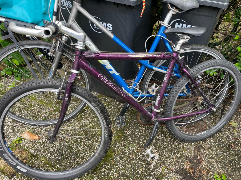 Giant Mountainbike - Paars, Shimano Deore LX, Gebruikt, Hardtail, 53 tot 57 cm, Heren