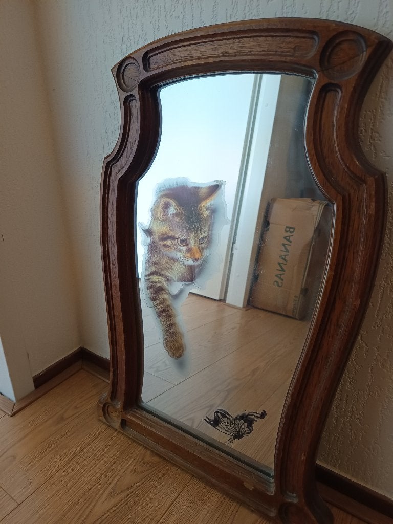 Oude spiegel met kattensticker - 63x40 cm, Ophalen of Verzenden, Overige vormen, Minder dan 50 cm, Minder dan 100 cm