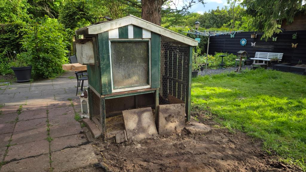 Gebruikt Kippenhok, Dieren en Toebehoren, Pluimvee, Geslacht onbekend, Kip
