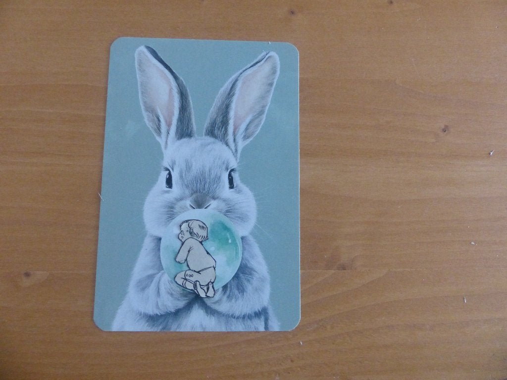 Ansichtkaarten speciaal 'konijn', Verzamelen, Ansichtkaarten | Dieren, Verzenden, 1980 tot heden, Ongelopen, Knaagdier