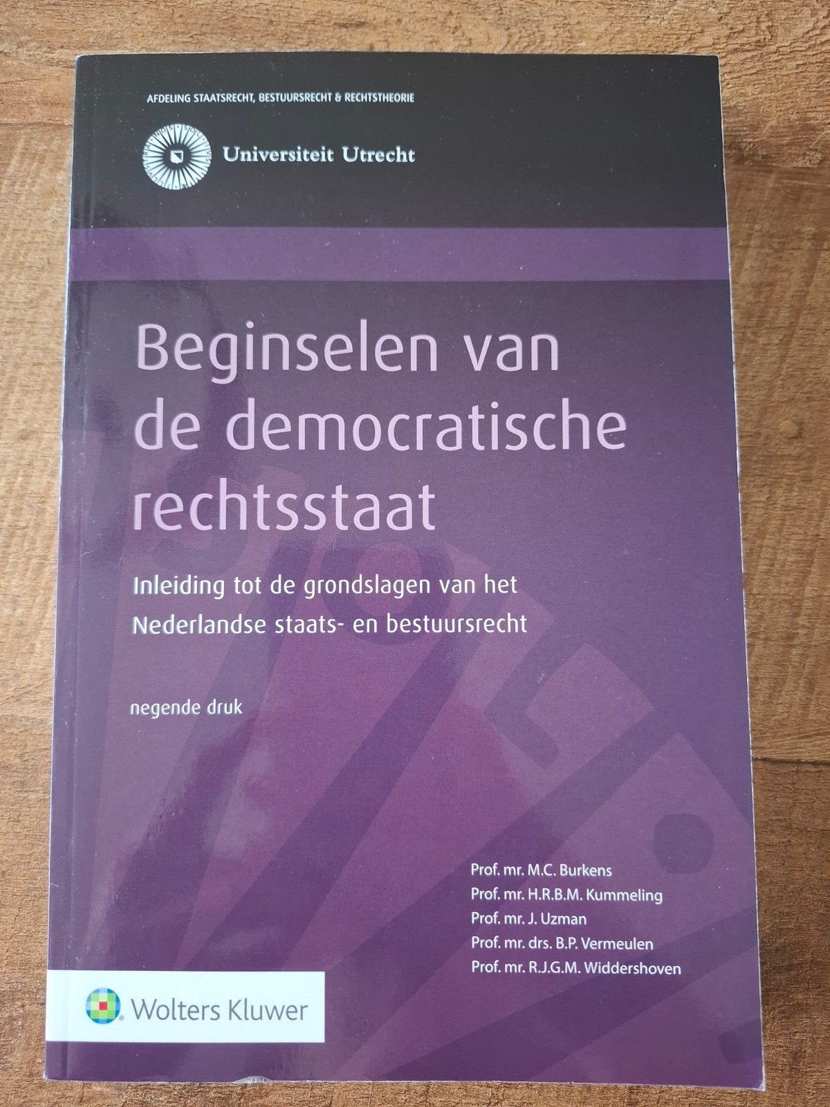 Beginselen van de democratische rechtsstaat., Boeken, Studieboeken en Cursussen, Zo goed als nieuw, WO, Gamma, Ophalen of Verzenden