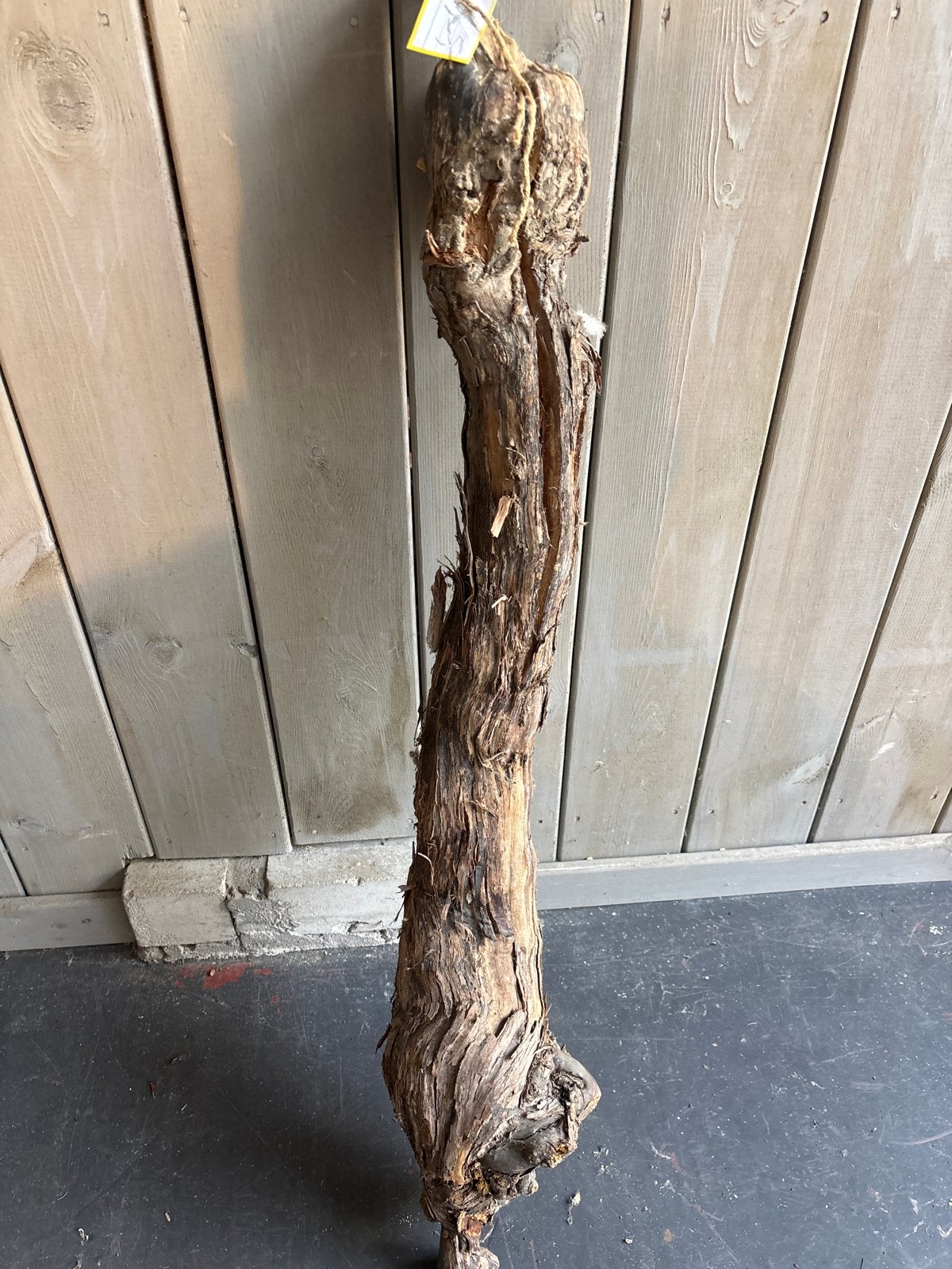Decoratieve Wijnrank - Uniek Stuk Natuurlijk Hout, Hout, Gebruikt, Ophalen of Verzenden, Landelijk