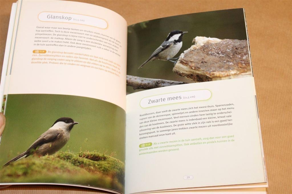 Tuinvogels Voor De Lens — Martin Hierck [Fotografie], Ophalen of Verzenden, Zo goed als nieuw, Vogels
