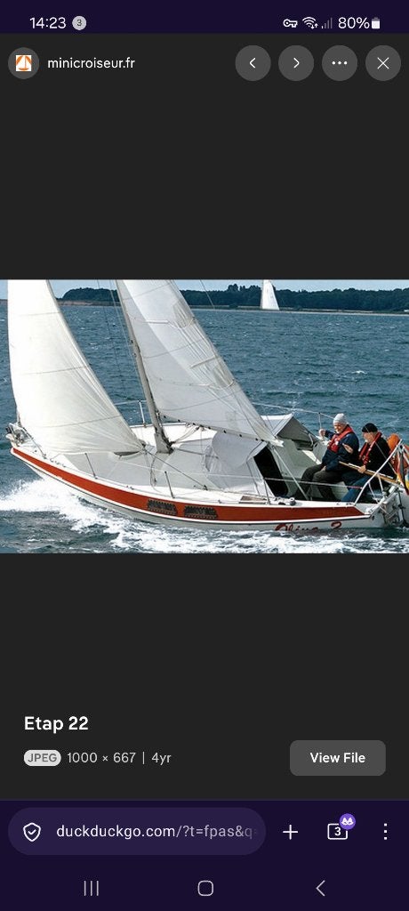 2 knappe voorzeilen Etap 22, fokken met leuvers, Watersport en Boten, 6 meter of meer, Minder dan 15 m², Ophalen of Verzenden