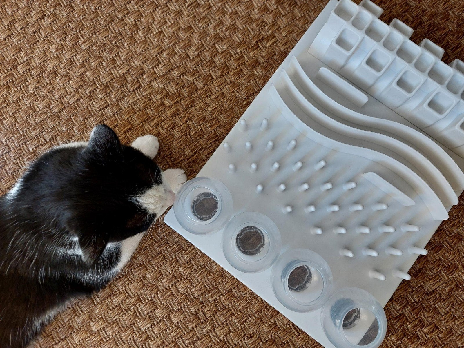 Trixie activity board/slow feeder voor katten, Ophalen, Gebruikt